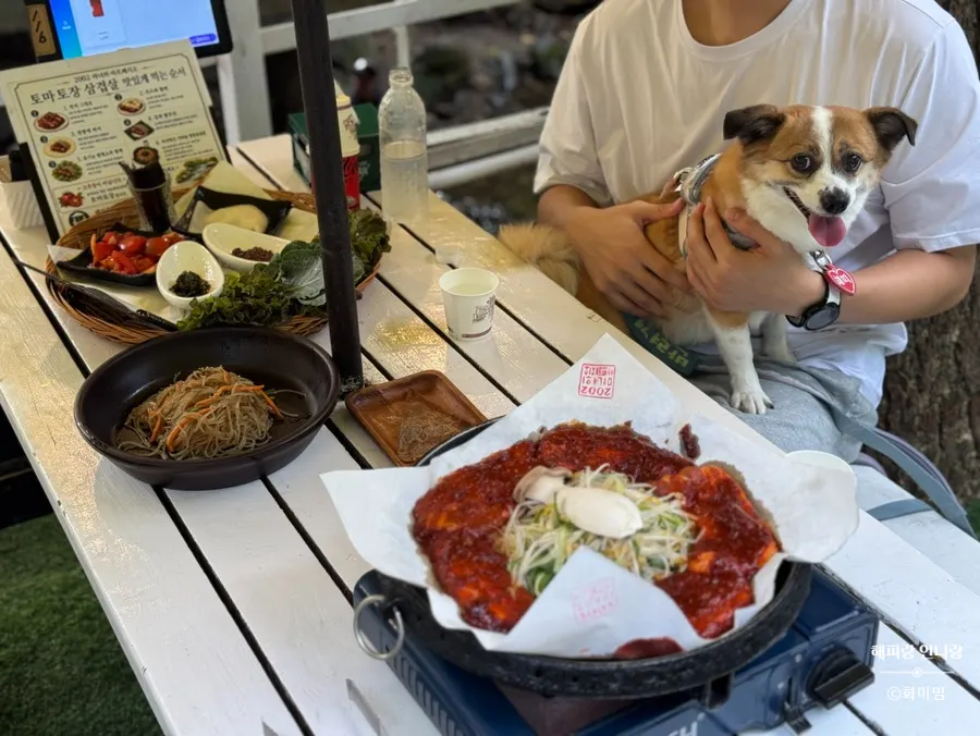 A dog sitting together at the outdoor table