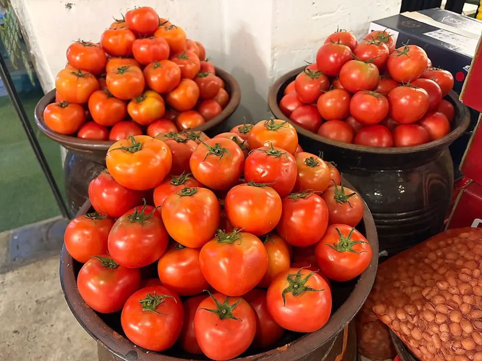 Tomato-jang aging jars at the entrance