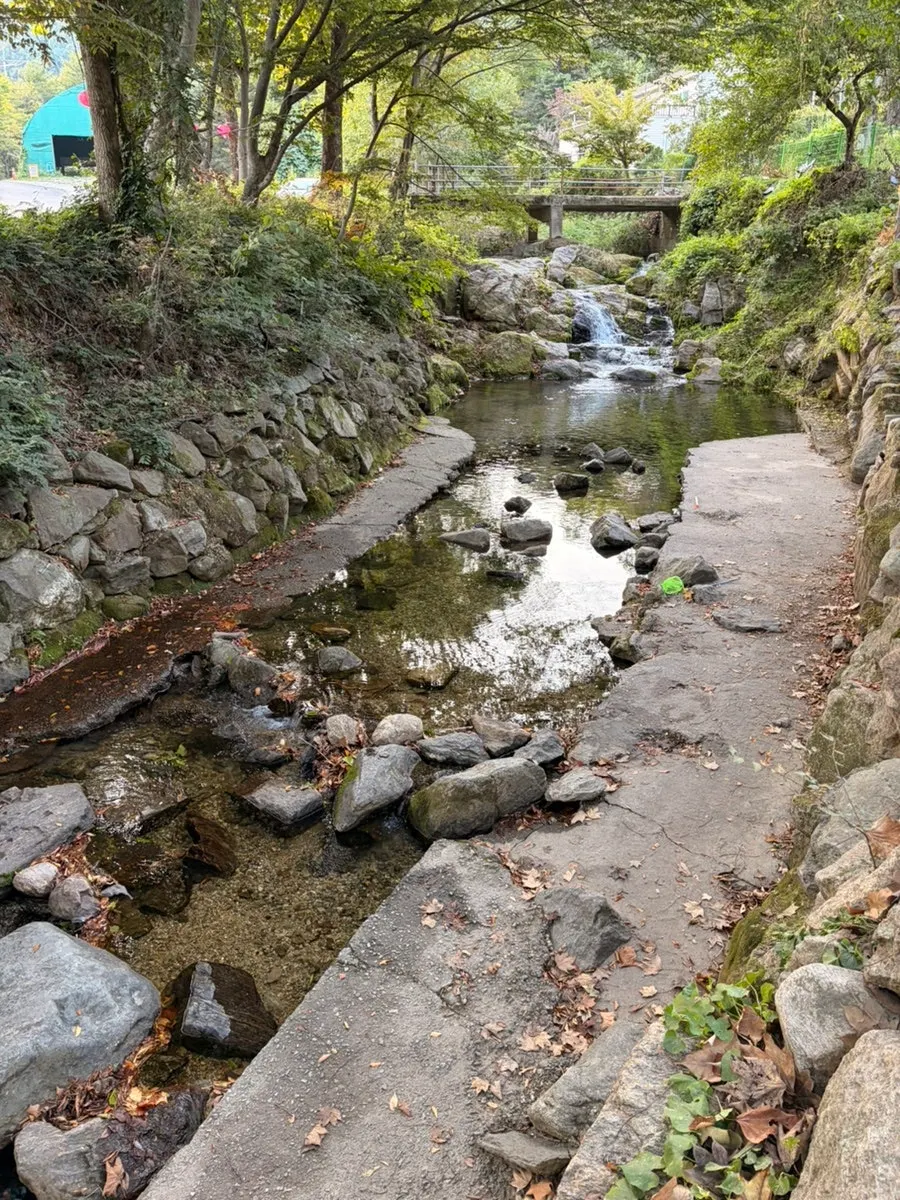 The creek running alongside the outdoor tables