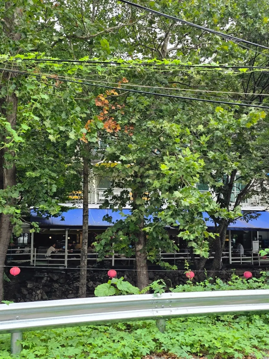 Exterior view of 2002 Witch's Arpeggio in Namyangju