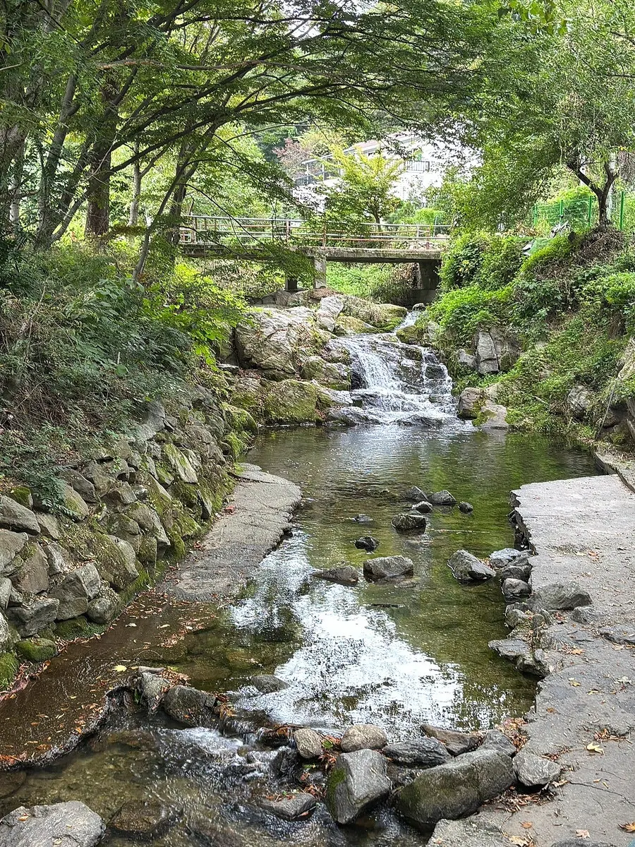 Table after finishing a meal with a creek view