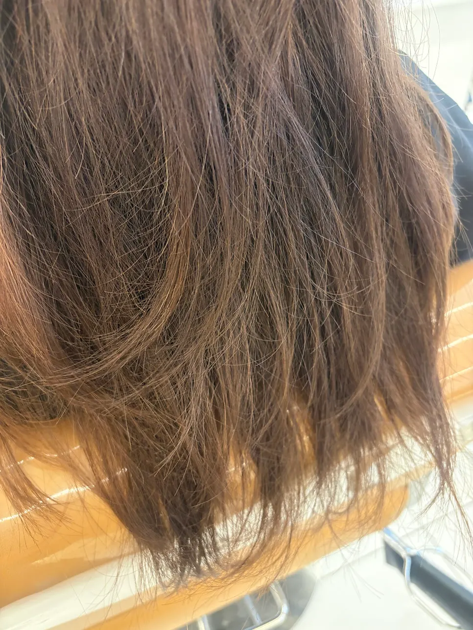 Before shot showing dry, damaged hair