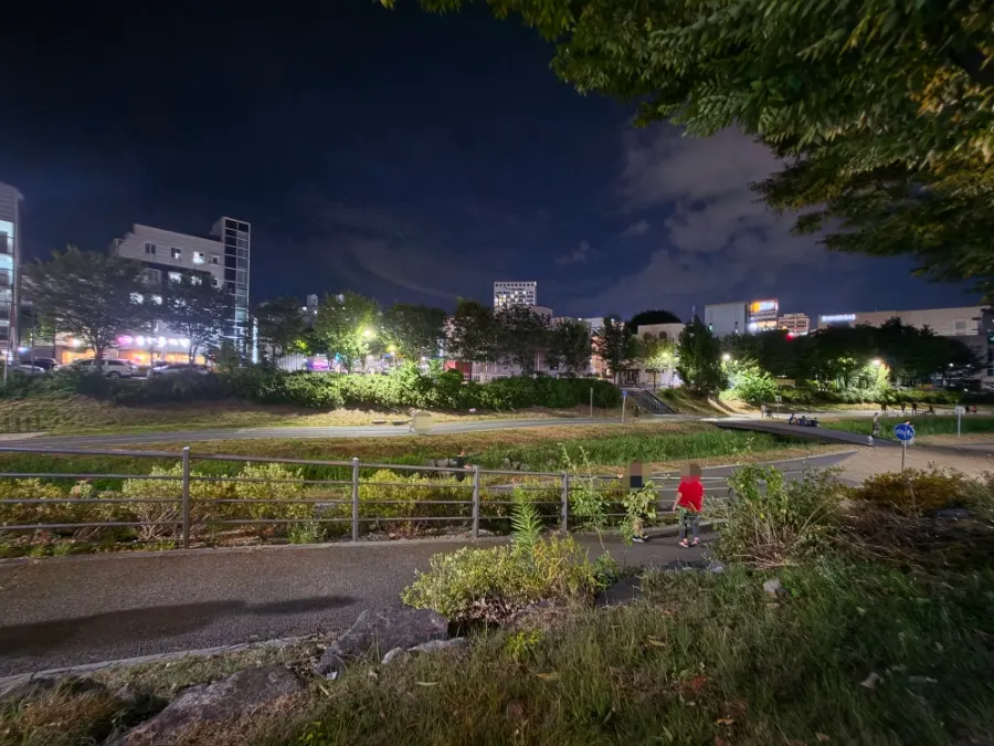 The lit walking path along Cheonancheon stream