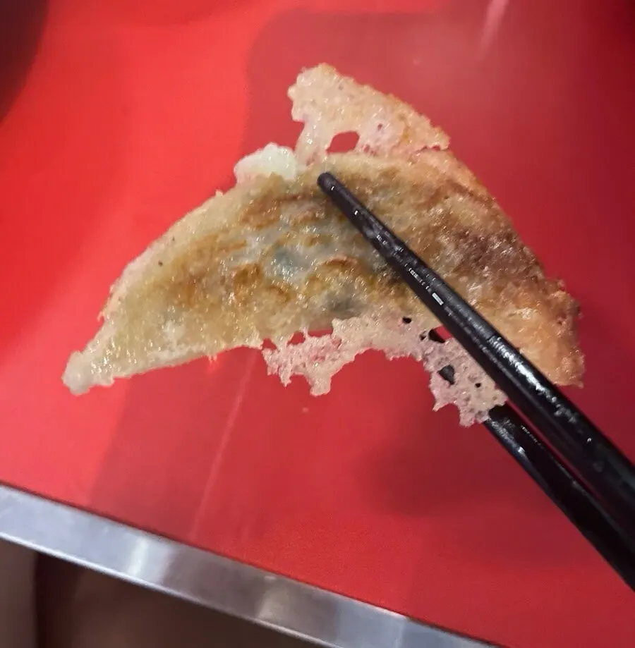 Crispy yaki gyoza served hot