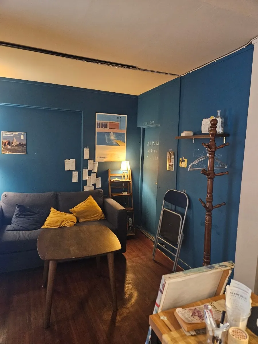 View of the basement space at Nerdy Blue Burrow from the seat