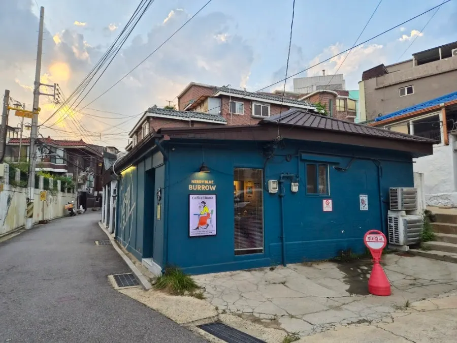 너디블루 버로우 청록색 외관