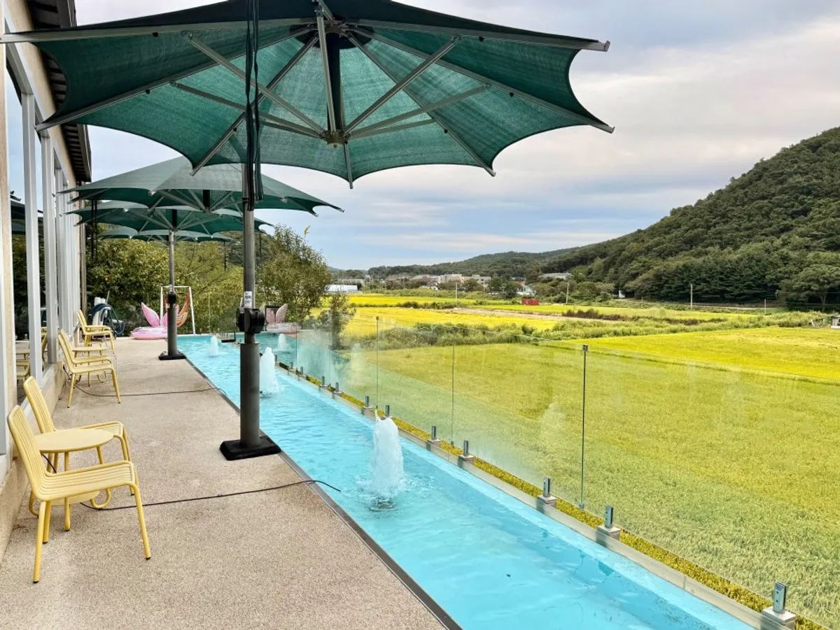 Exterior view of Nillai Gimpo Branch, a rice-field-view café in Gimpo