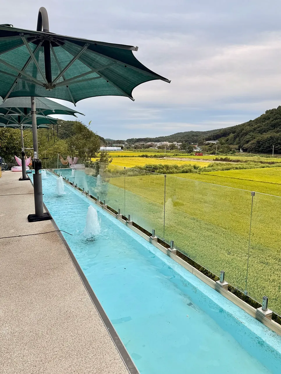 Rice-field view seen from the terrace at Nillai Gimpo Branch