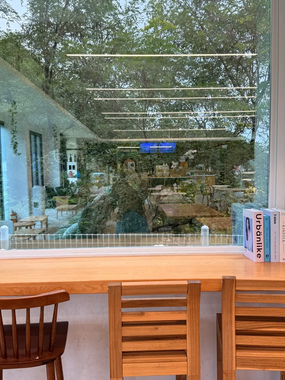 Sunlight streaming through floor-to-ceiling windows inside Nillai Gimpo Branch