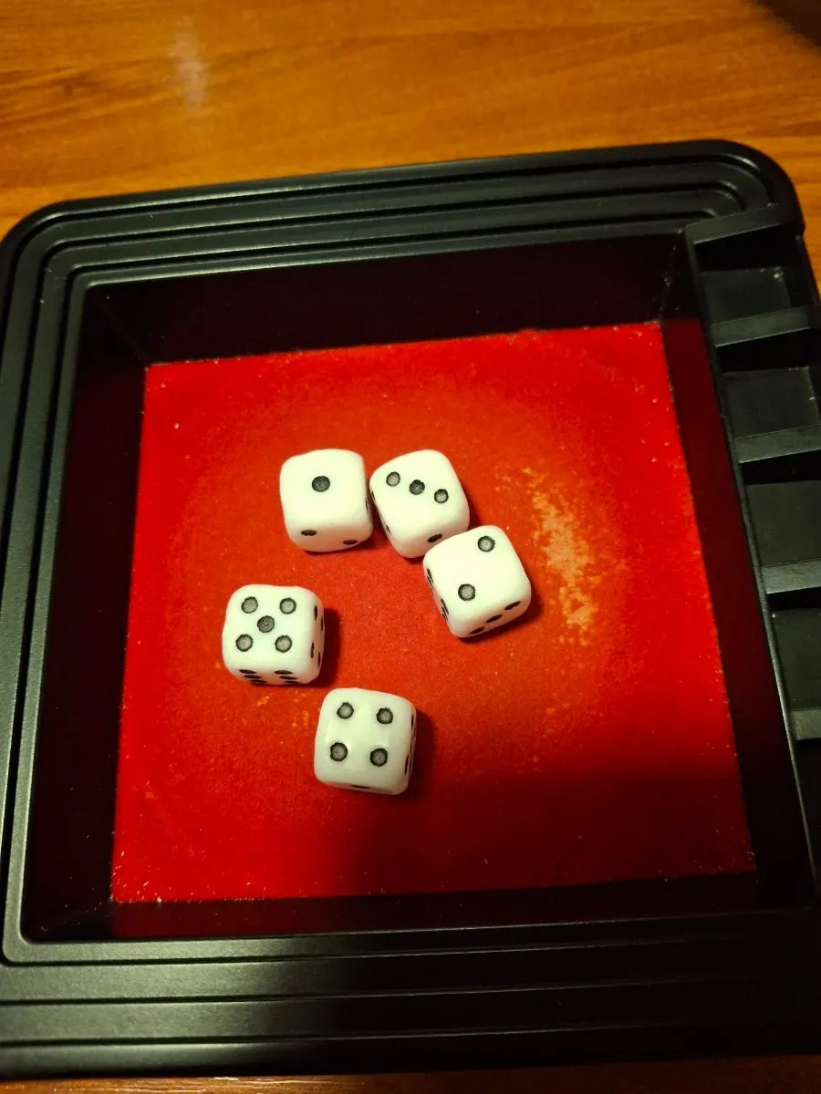 Yacht Dice components set up to play