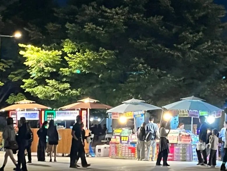 The lawn at Hangang Park