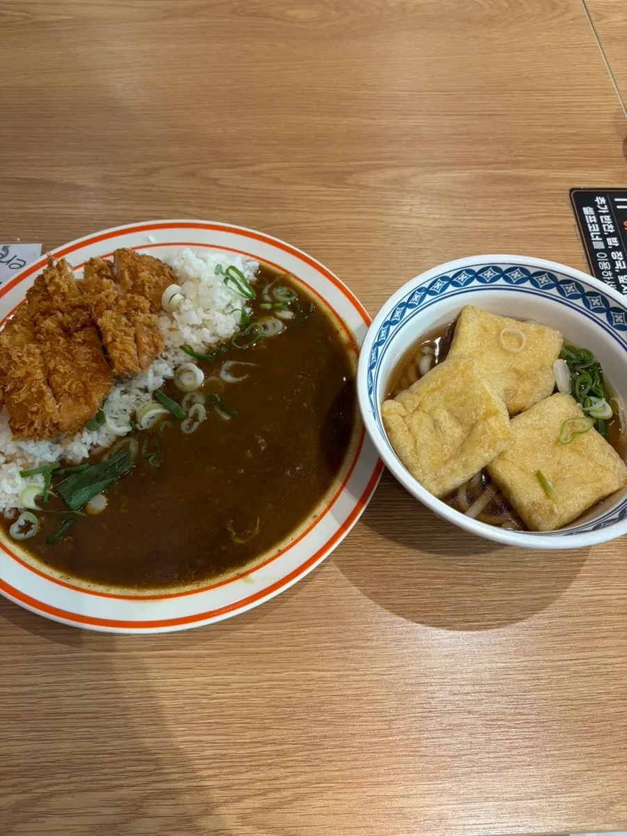 Pork cutlet dipped in curry sauce