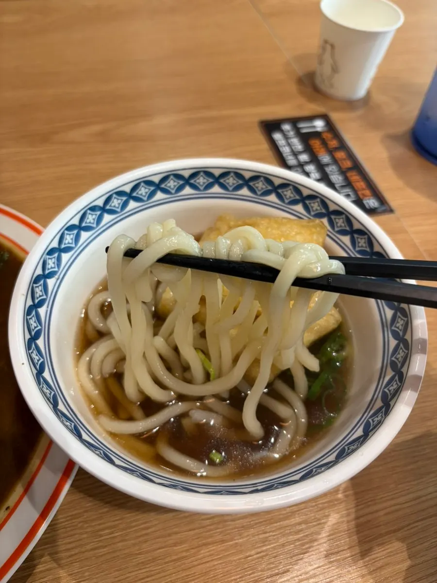 Udon from the katsu curry and udon set