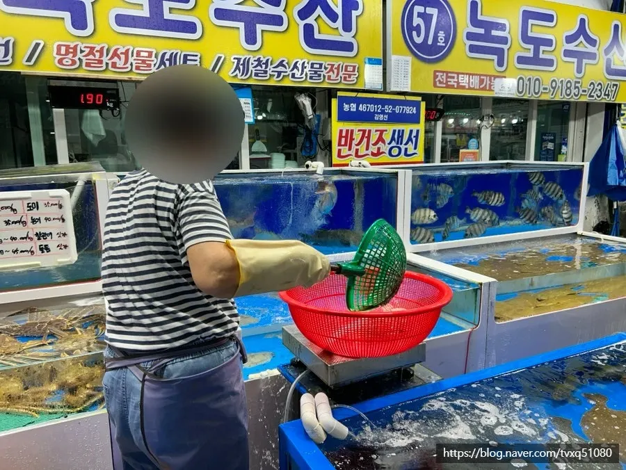 녹도수산 수조에 담긴 활어들