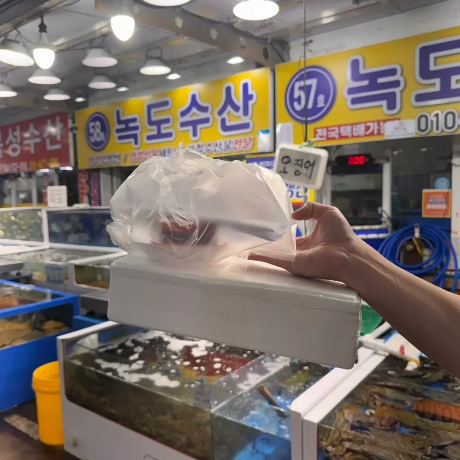 Live fish sashimi carefully packed in a box