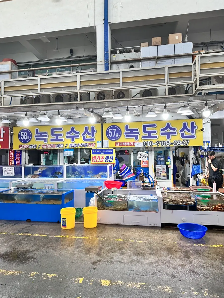 Nokdo Susan storefront near the entrance of Daecheonhang Fish Market