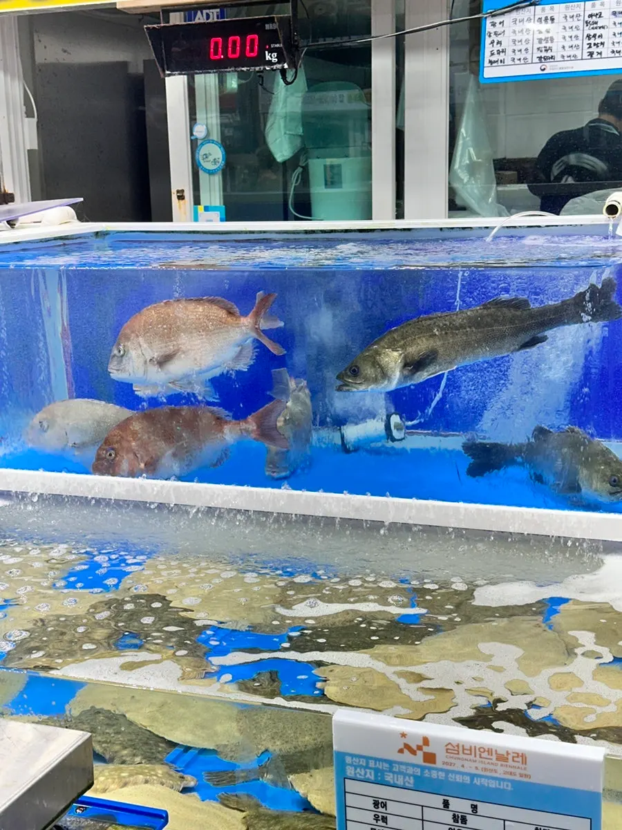 Long row of live fish tanks in front of Nokdo Susan
