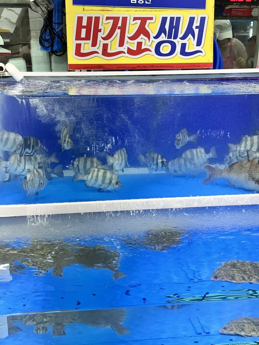 Tank with flounder and rockfish swimming