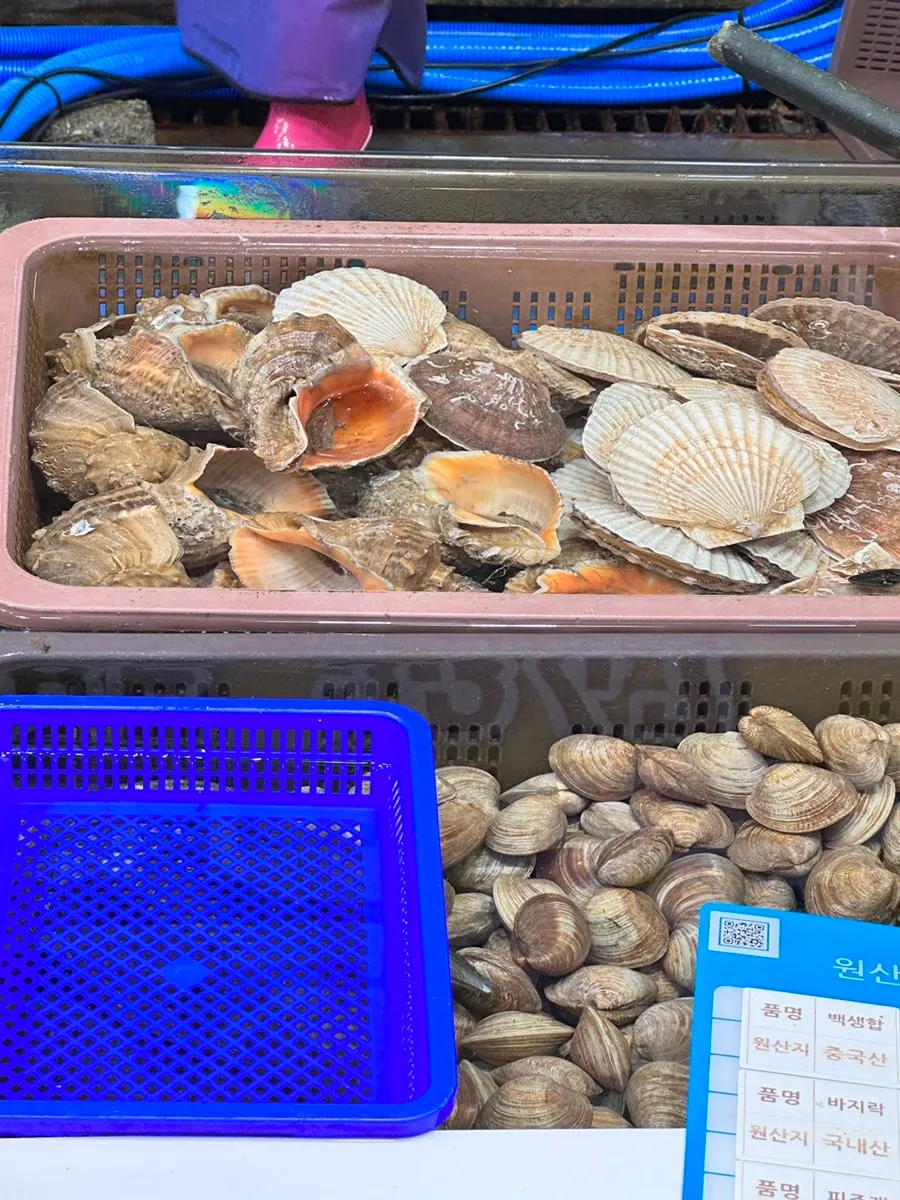 Tank filled with abalone