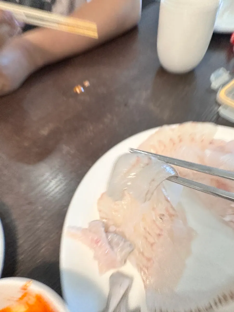 Plate of evenly sliced flounder sashimi