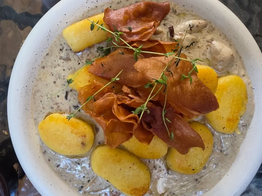 Shrimp oil pasta and truffle porcini gnocchi spread
