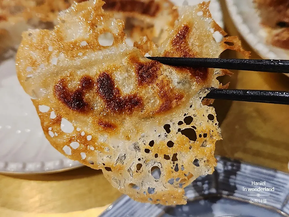 Plate of handmade yaki-gyoza with crispy wings