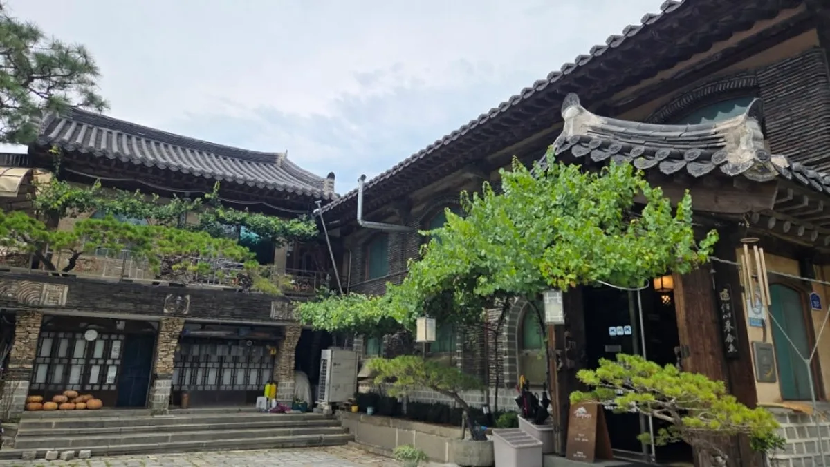 소나무한정식 마당의 잔디밭
