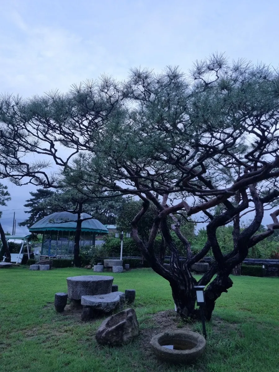 Exterior view of Sonamu Hanjeongsik in Nonsan
