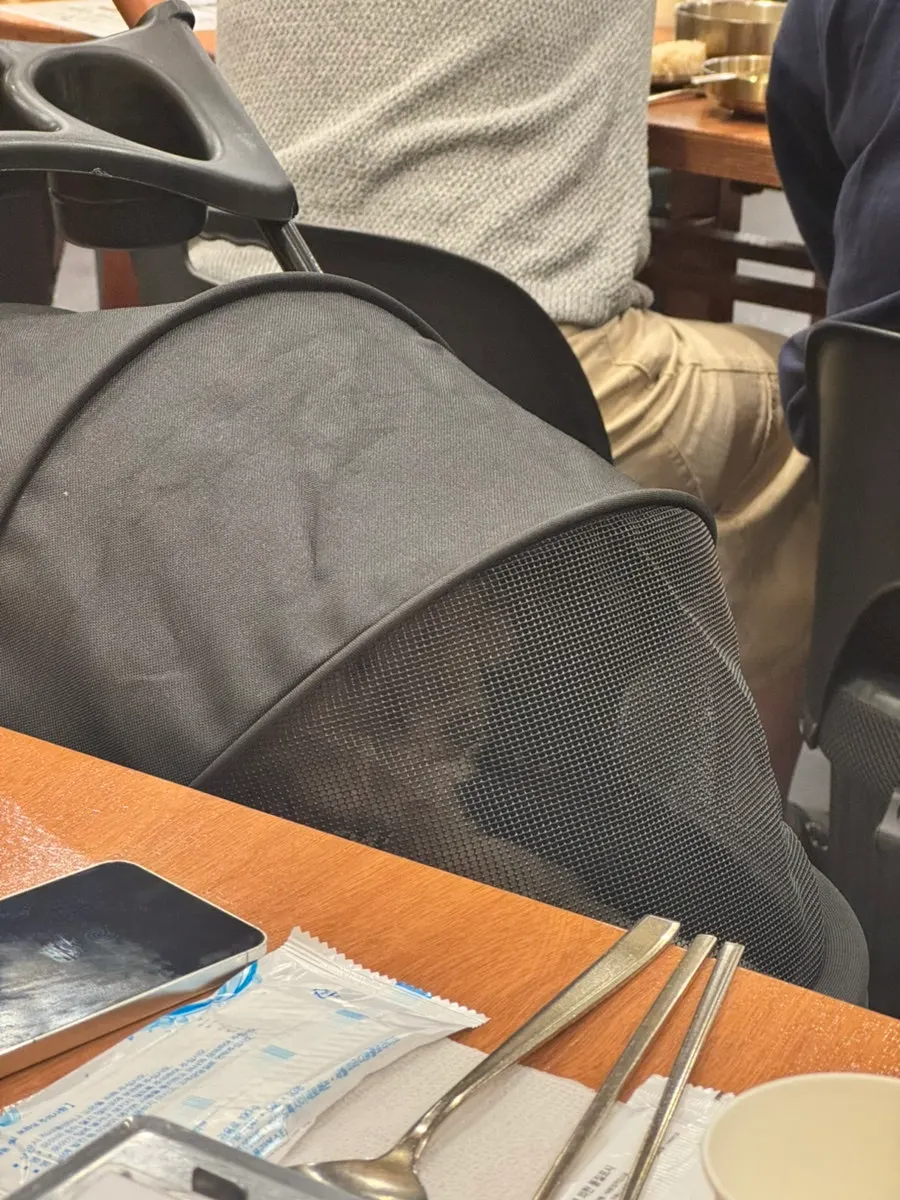 A dog seated at a table inside the pet-friendly BBQ restaurant