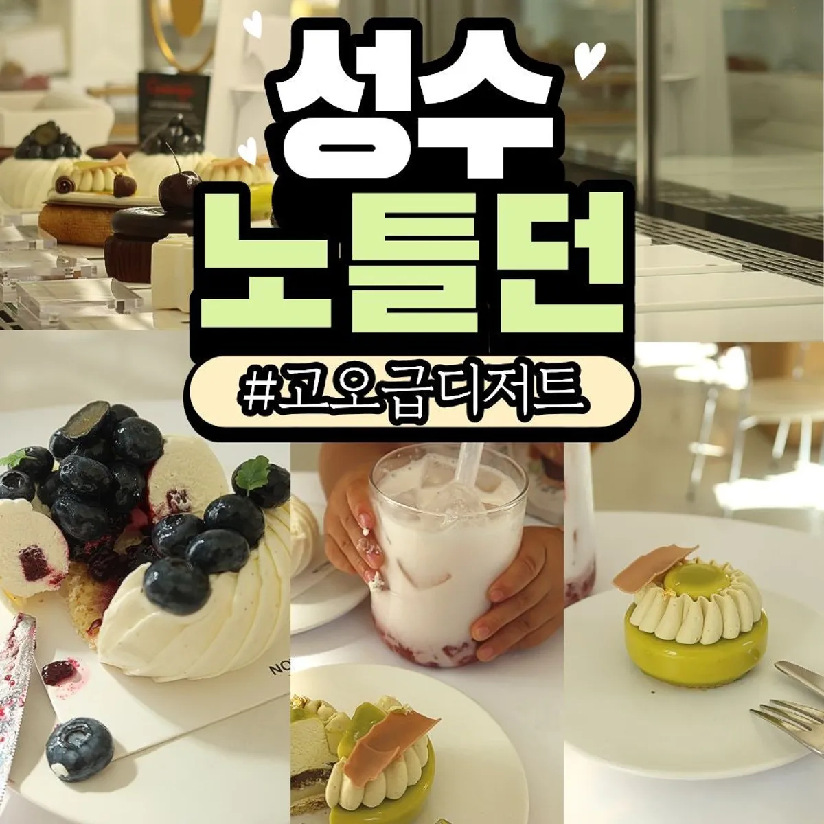 성수 디저트 카페 노틀던 방문 사진