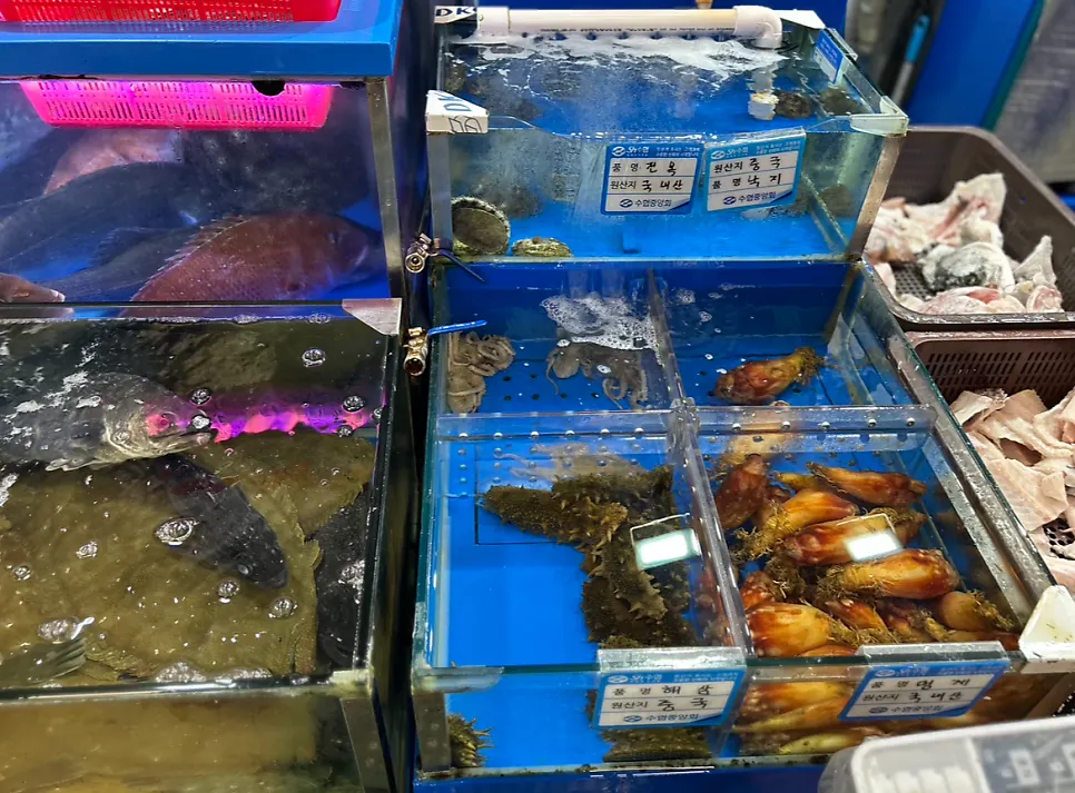 땅끝마을 수산시장 매대 전경