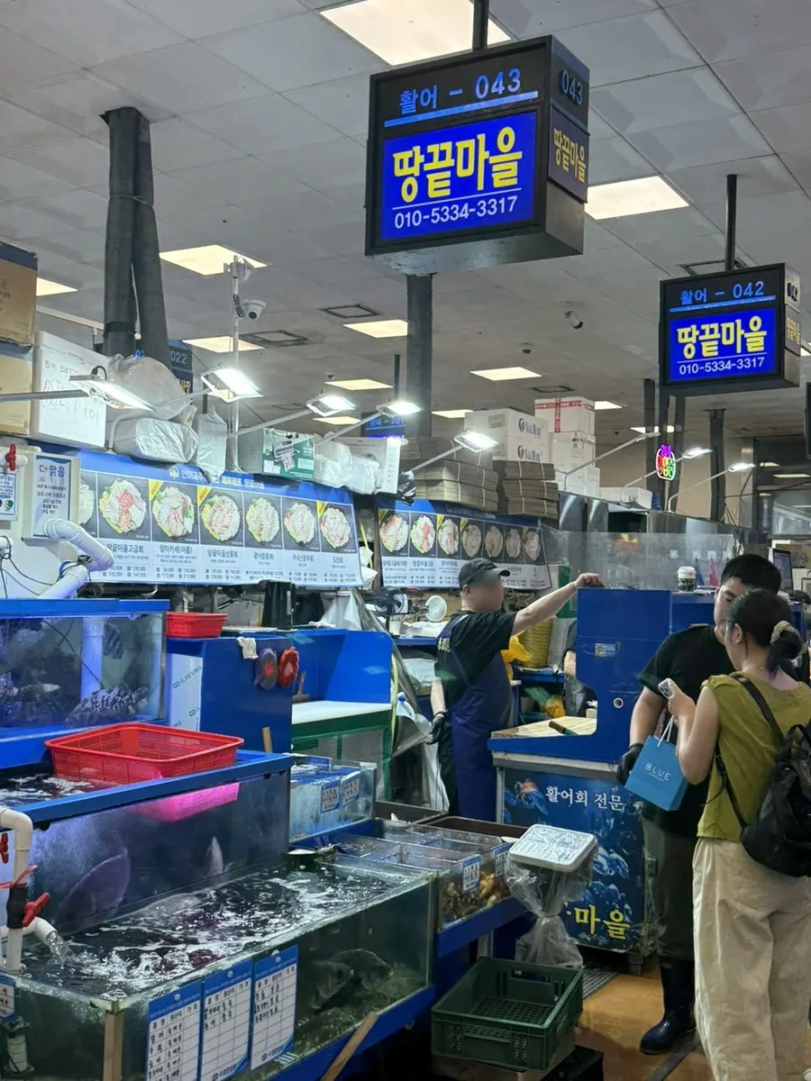 Fish swimming in Ttangkkeut Maeul's tanks