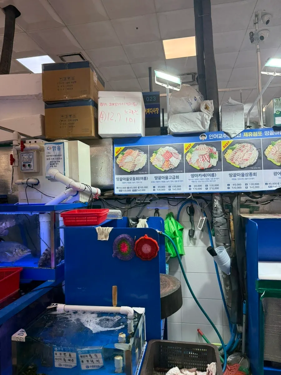 Sashimi takeout packed with ice packs