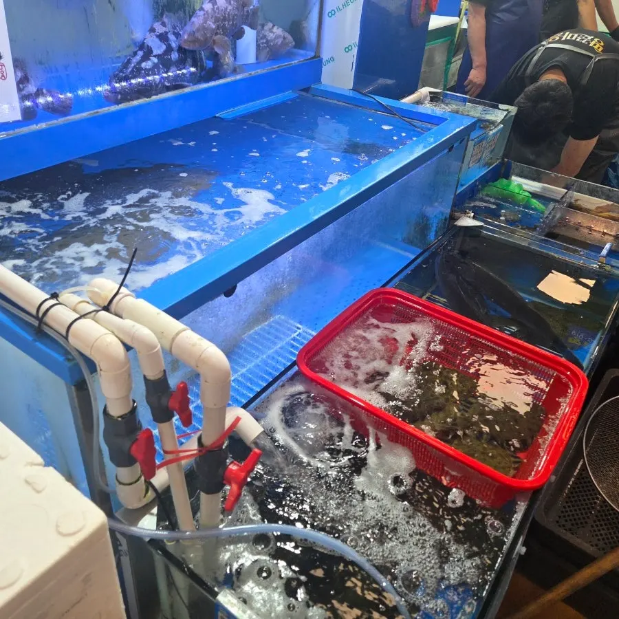Fish tanks in front of Ttangkkeut Maeul