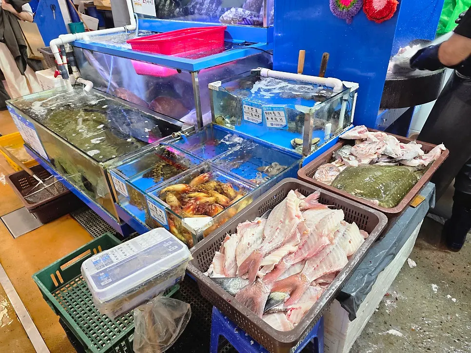 QR코드 주문 안내와 매장 문구