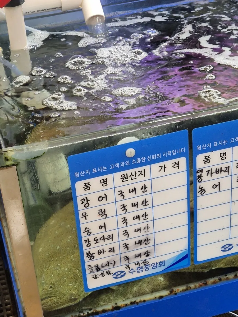 땅끝마을 수족관에 담긴 활어