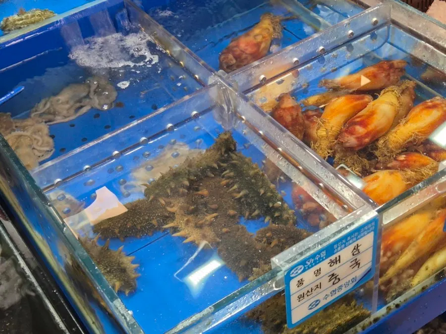 가로로 늘어선 땅끝마을 수족관