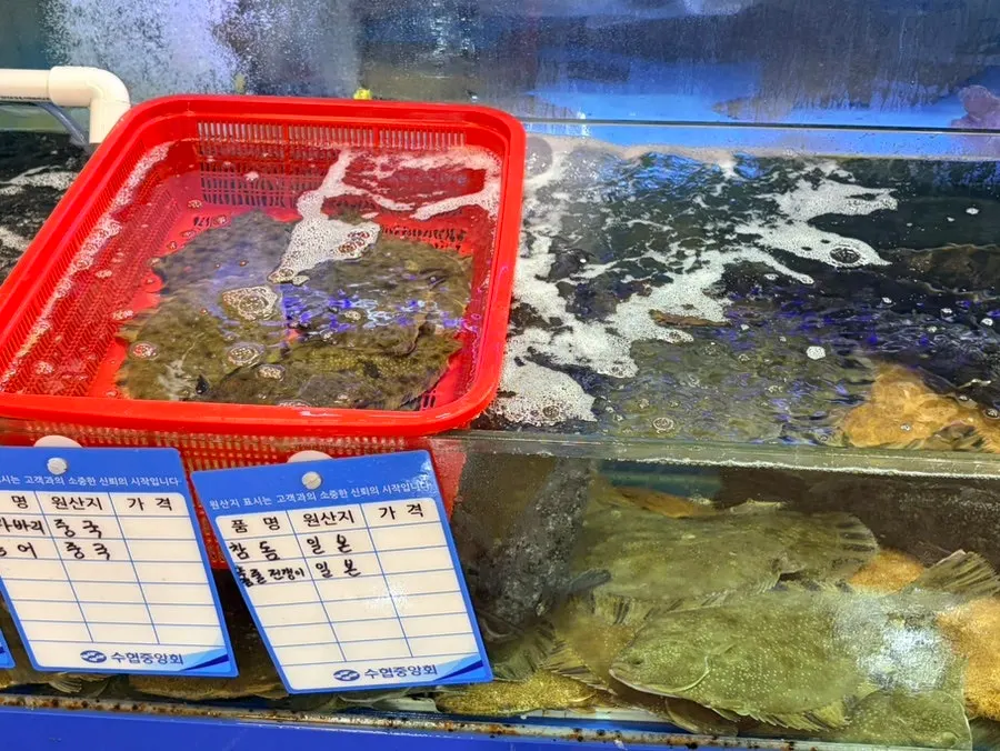 Peces vivos frescos en las peceras de Ttangkkeut Maeul