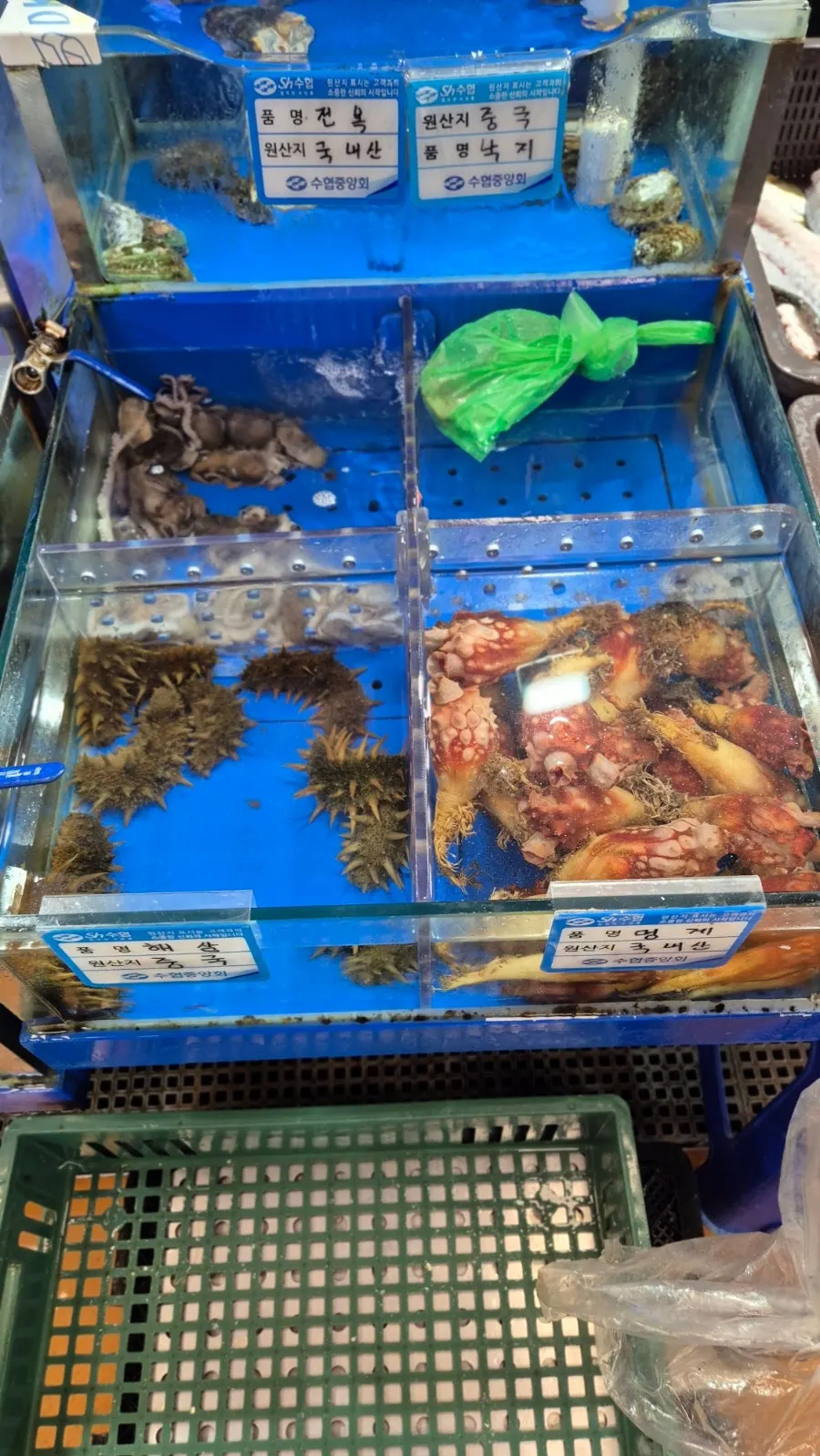 땅끝마을 수조 속 다양한 어종