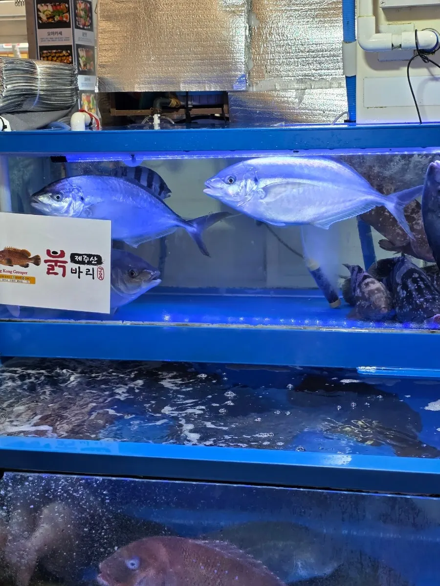 깔끔하게 관리된 매장 앞 수조