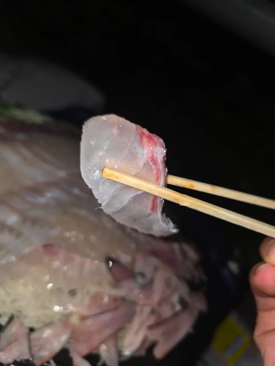 초장에 찍은 전갱이회