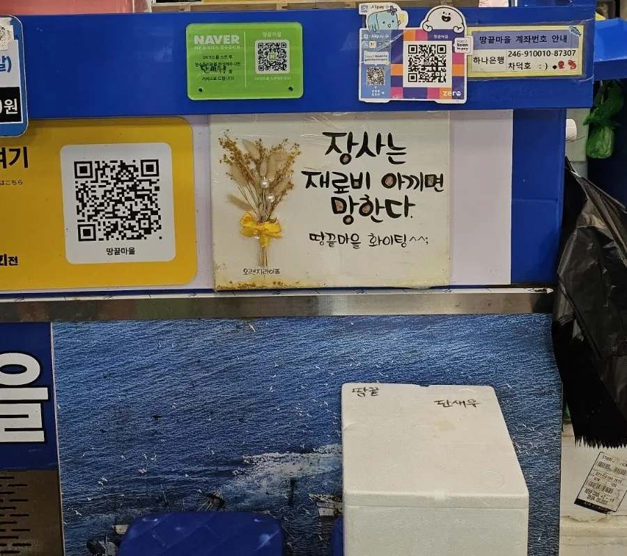 땅끝마을 회 종류별 메뉴 구성 안내