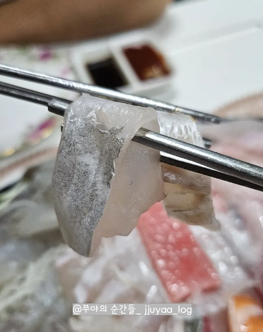 도미 뱃살회 접시