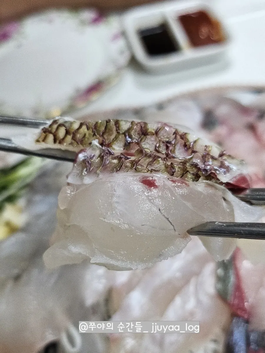 광어 지느러미 엔가와 회
