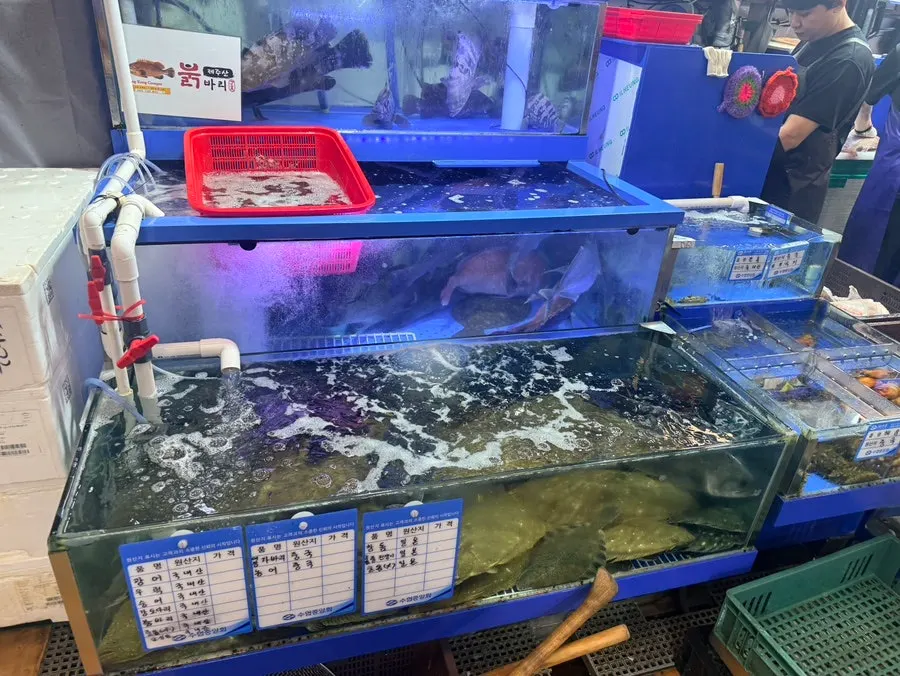 Ttangkkeut Maeul hours information