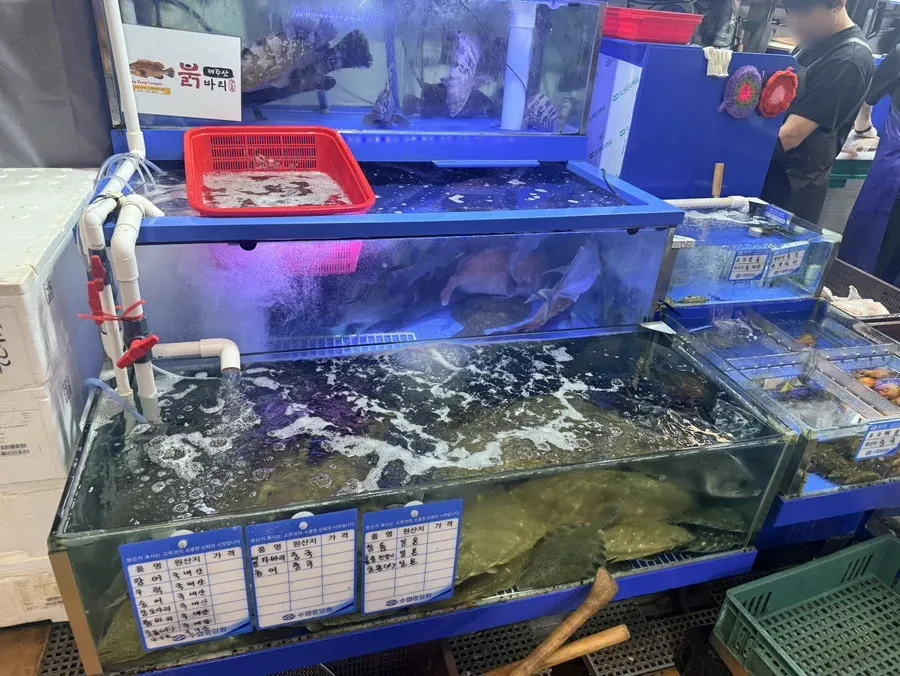 尽头村营业时间说明