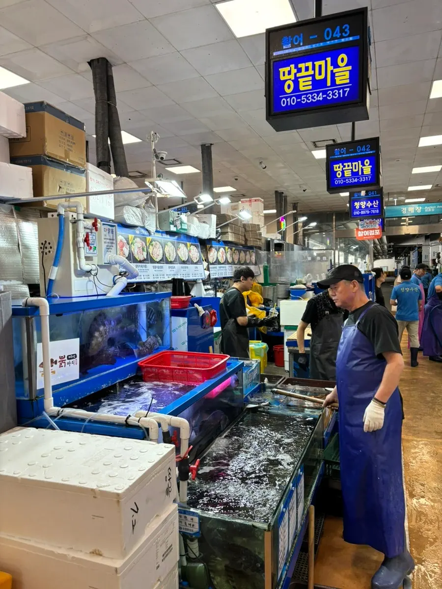 Visiting Noryangjin Fish Market for sashimi takeaway