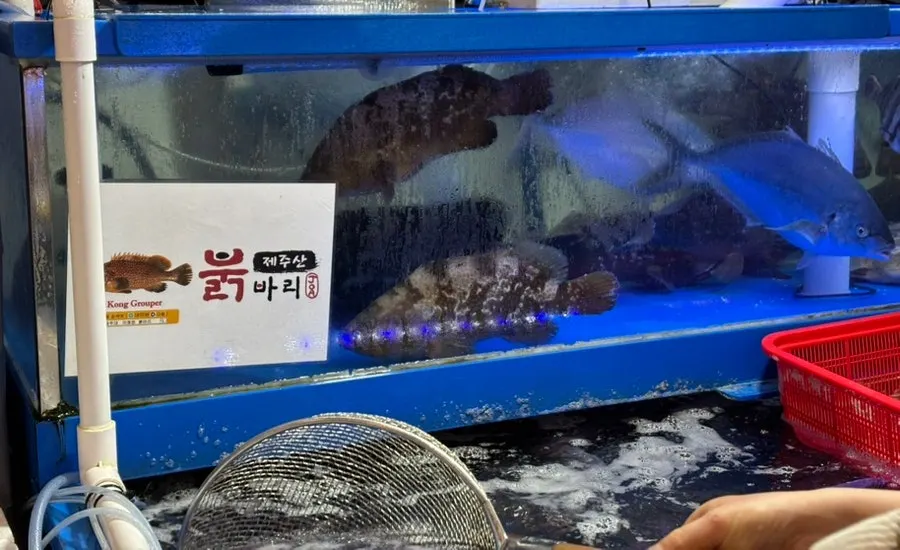 South Gate entrance of Noryangjin Fish Market