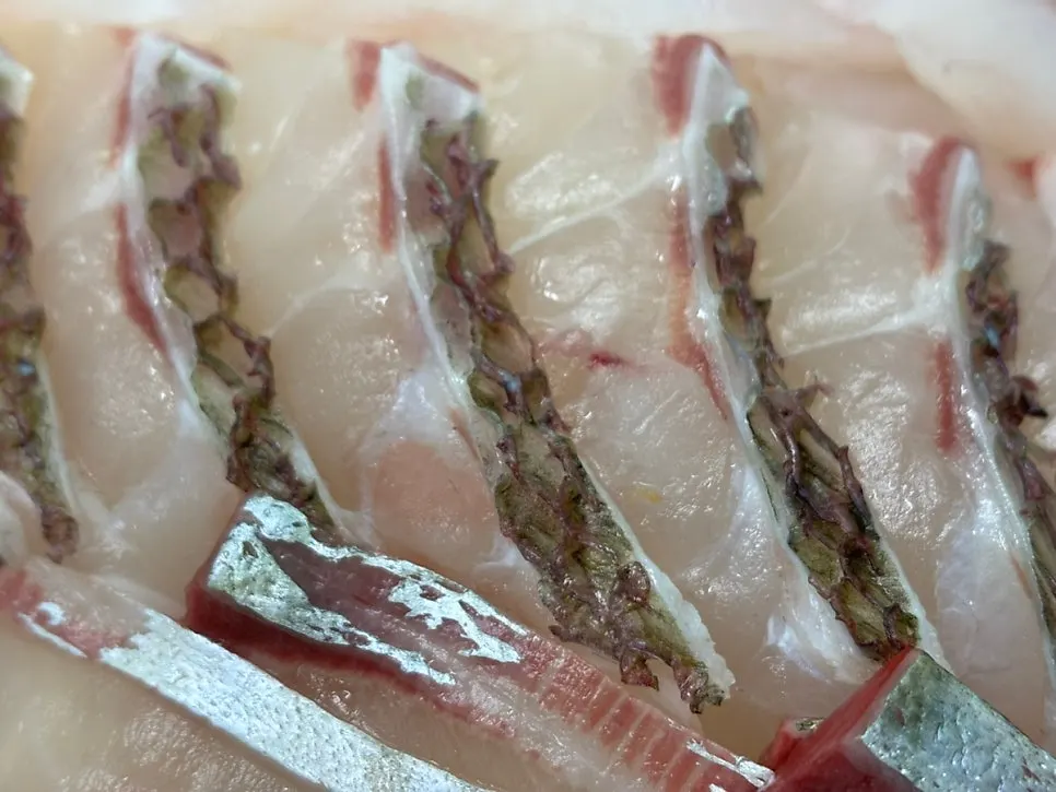 Fish selection in the assorted croaker sashimi platter