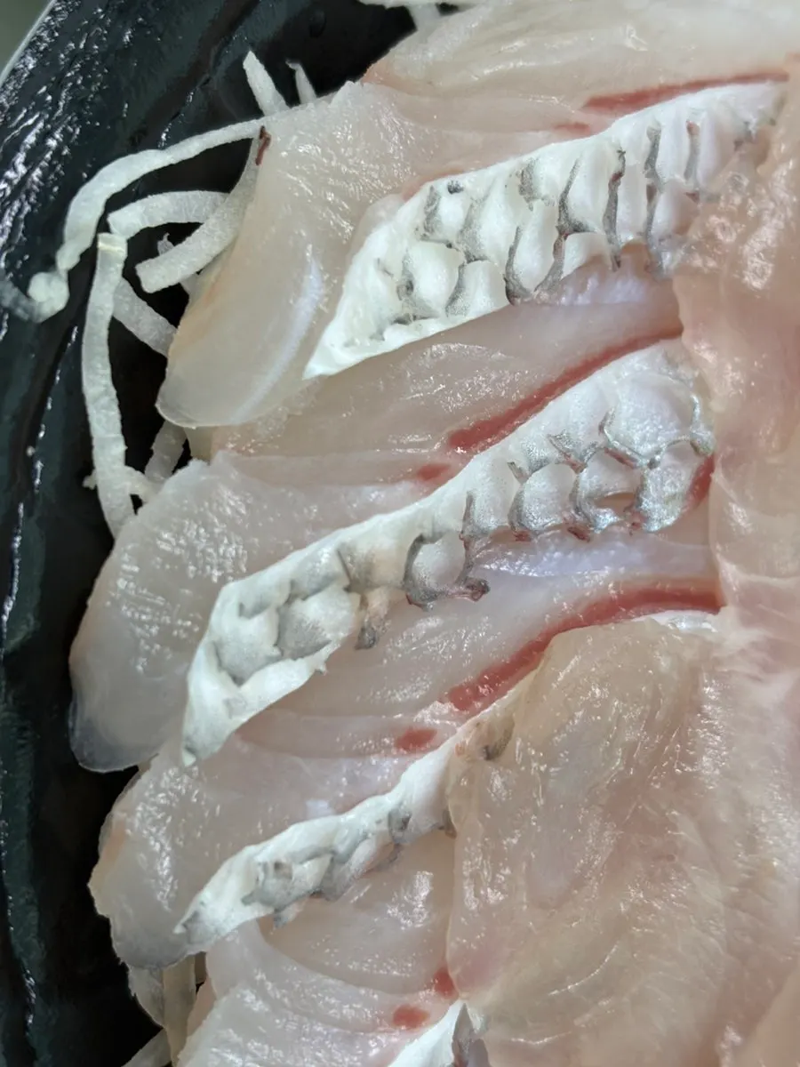Striped jack shima aji sashimi